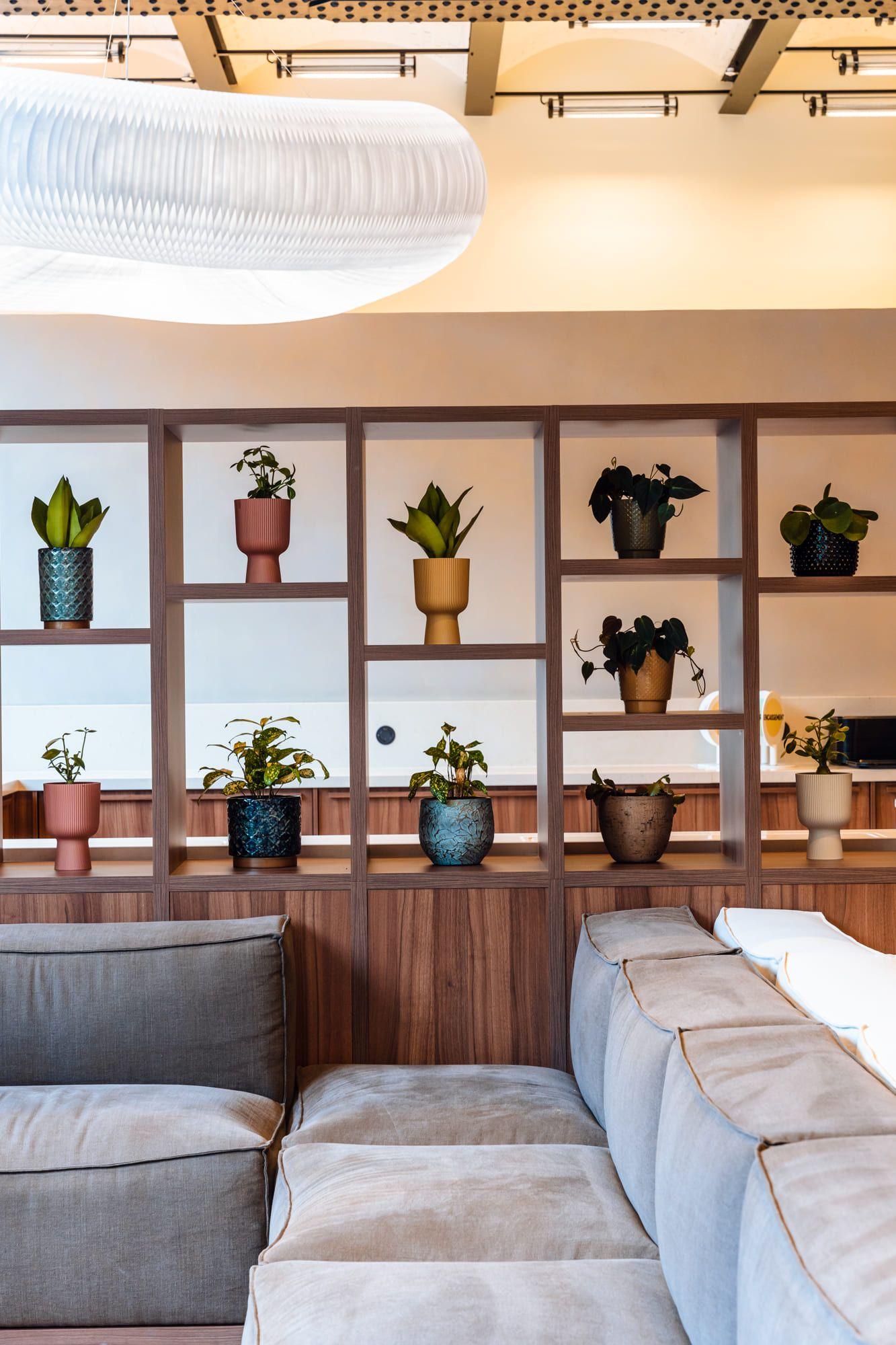 Voodoo - Vue partielle